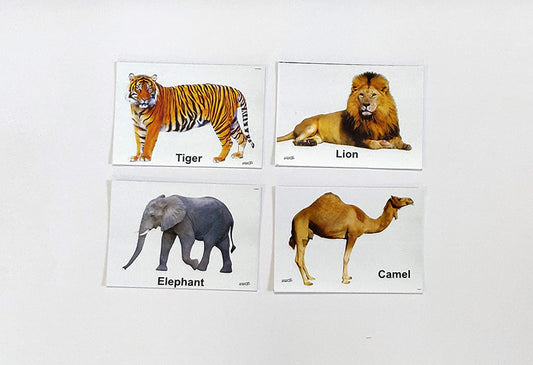 Flash Cards Animals