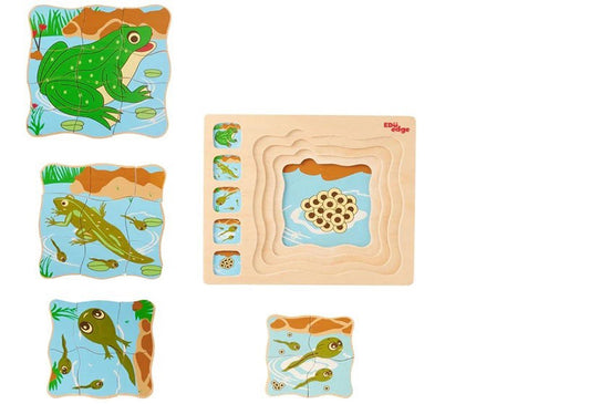Wooden Tray Frog Life cycle Puzzle