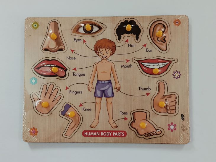 Ht/Parts of the Body inset tray Puzzle