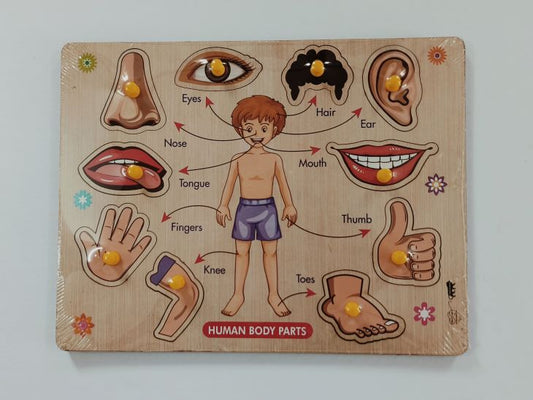 Ht/Parts of the Body inset tray Puzzle