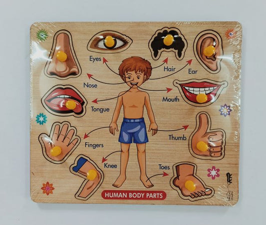 Ht/Parts of The Body Small Inset Tray