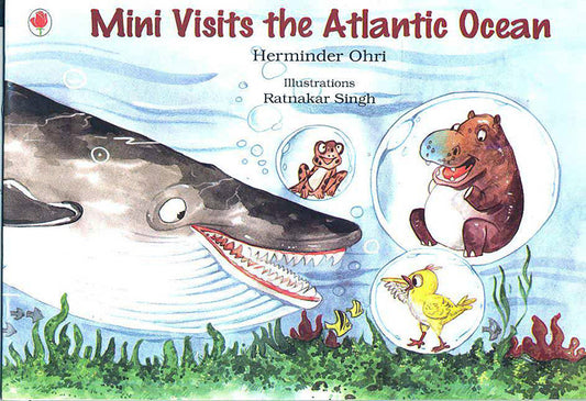 Mini Visits The Atlantic Ocean English
