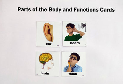 Parts Of The Body And Function Cards