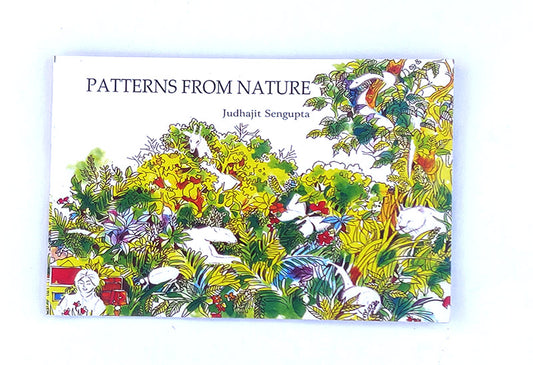 Patterns From Nature English