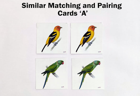 Similar Matching And Pairing Cards Set A Identical Pairing