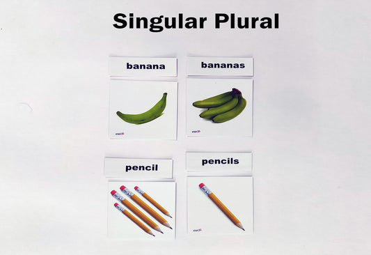 Su/Singular Plural