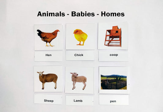 Su/Animals Babies Homes