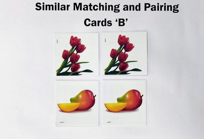 Su/Similar Matching And Pairing Cards Set B / Identical Pairing Set B