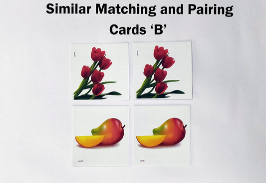 Matching And Pairing Cards Set B / Identical Pairing Set B