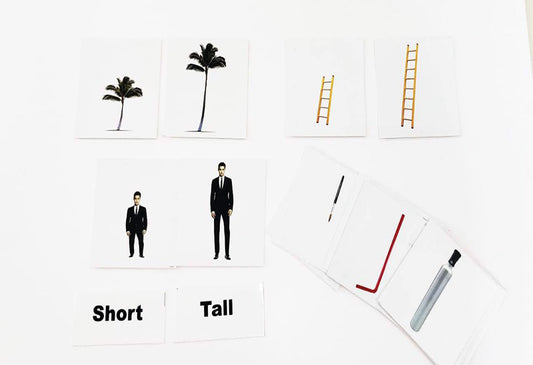 Flash Cards Tall And Short