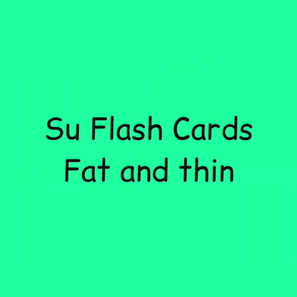 Flash Cards Fat And Thin