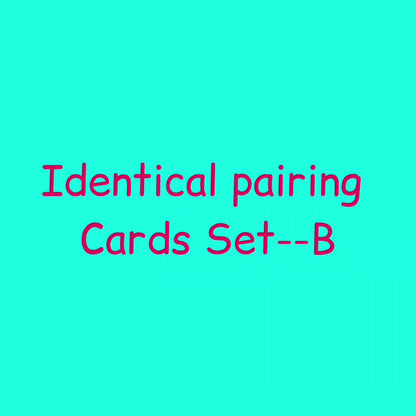 Nw/Identical Pairing Cards Set A