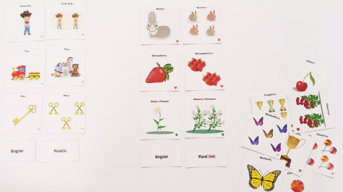 Vy/Singular and Plurals Elaborated Set