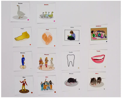 Vy/Singular and Plurals Elaborated Set