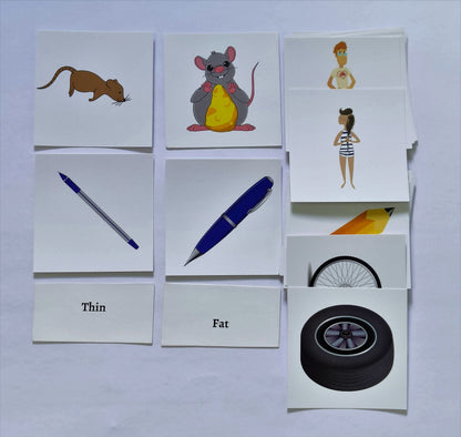 Flash Cards Fat And Thin